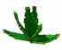 Aloevera